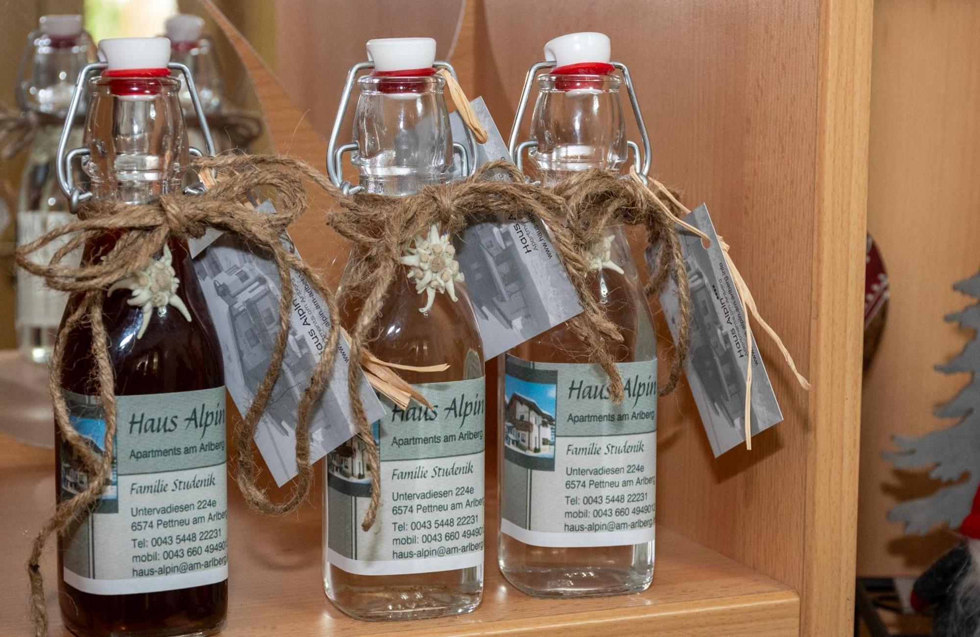 豪斯阿尔平公寓酒店 佩特诺伊阿尔贝格 外观 照片